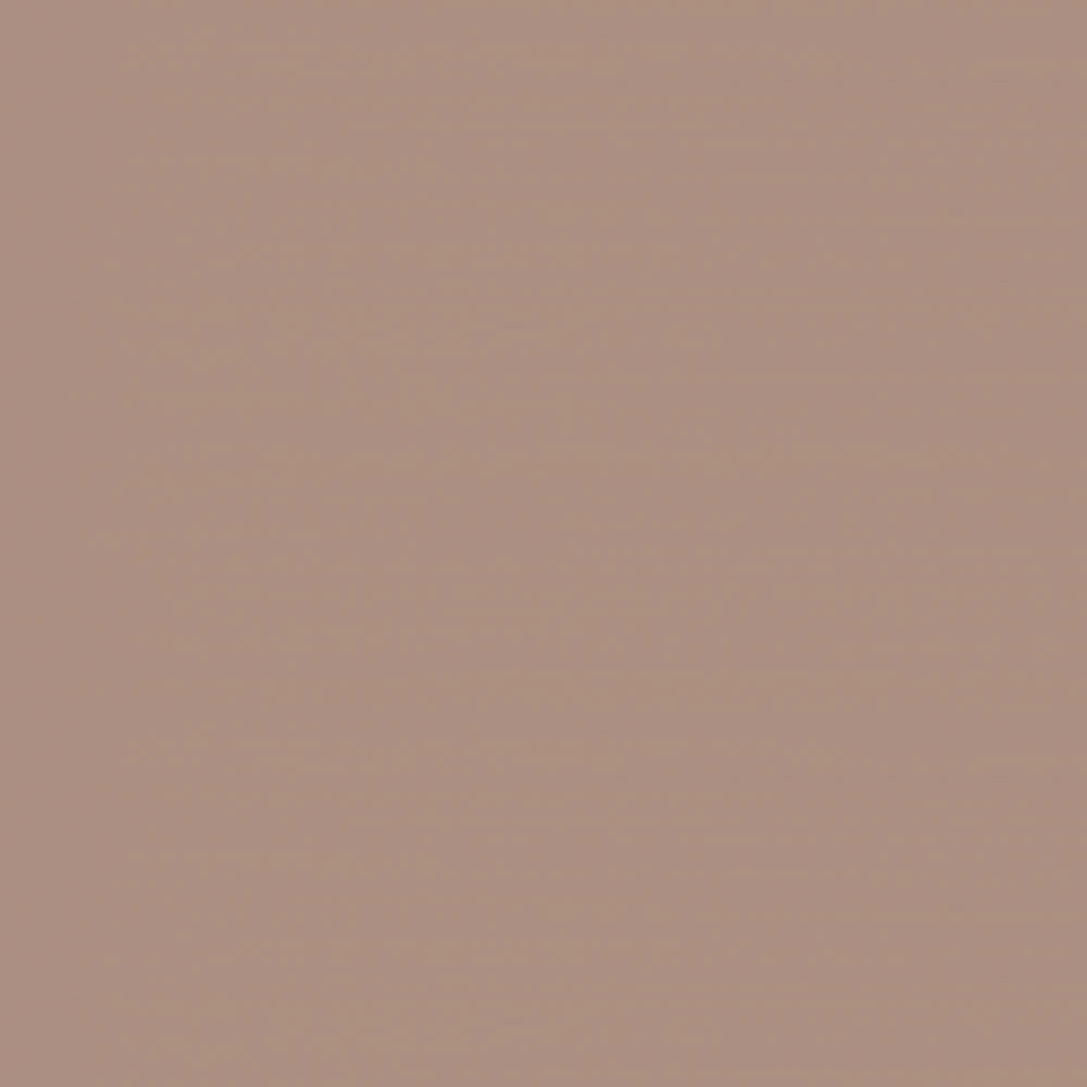 P103 - VİZON